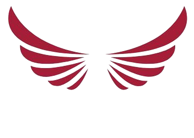 Newton Carz Newton Carz